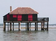 Camping sur le bassin d'Arcachon