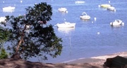 Vue sur le bassin d'Arcachon