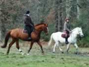 Equitation dans le M&eacute;doc