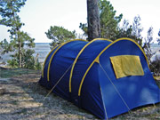 camping municipal les pastourelles a lege cap ferret 