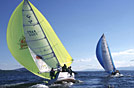 Voiliers sur le bassin d'Arcachon