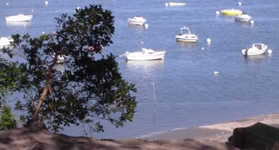Vue du bassin d'Arcachon depuis le camping