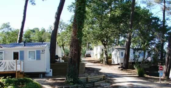 Camping les Pastourelles � L�ge Cap Ferret