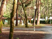 Vue du camping sous la pin&egrave;de