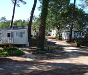 vue du camping &agrave; L&egrave;ge Cap Ferret